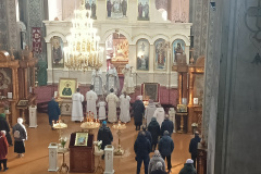 IMG20250223090941